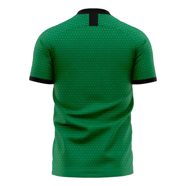 Nigeria 2025-2026 Home Concept Football Kit (Libero) (CHUKWUEZE 11) — Shop Now