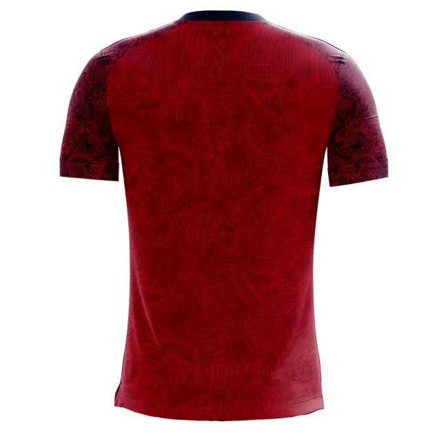Norway 2025-2026 Home Concept Football Kit (Airo) (ODEGAARD 10) — Buy Online
