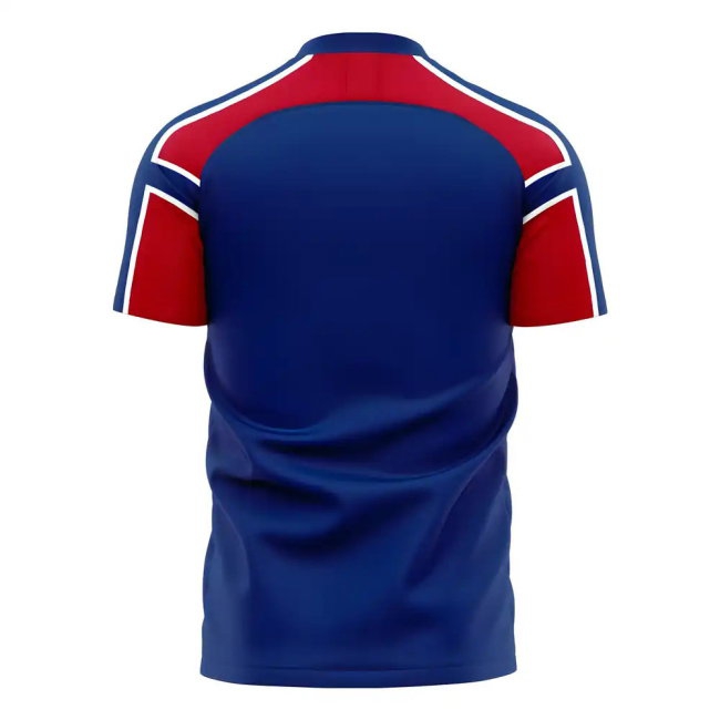 Norway 2025-2026 Away Concept Football Kit (Libero) (ODEGAARD 10) — Buy Now