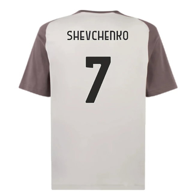 2023-2024 AC Milan Casuals Tee (Light Grey) (Shevchenko 7) — Shop Now