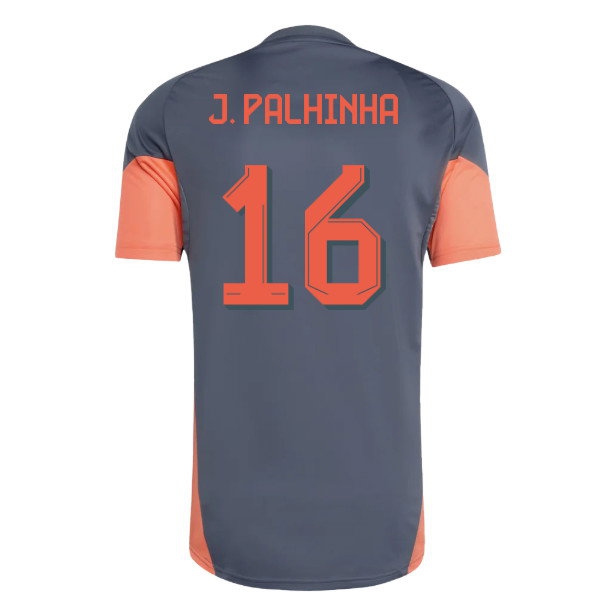2025-2026 Bayern Munich Training Shirt (Bold Onix) (J. Palhinha 16) — Shop Online