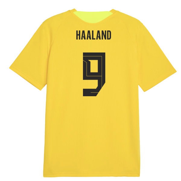 2026-2027 Borussia Dortmund Training Jersey (Yellow) (Haaland 9) — Buy Online