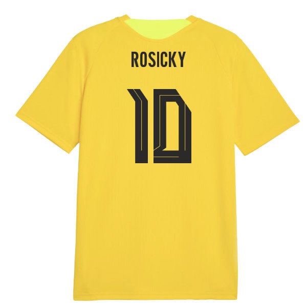 2026-2027 Borussia Dortmund Training Jersey (Yellow) (Rosicky 10) — Buy Now