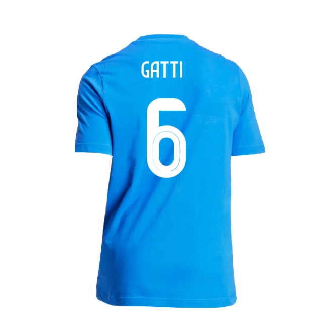 2024-2025 Italy DNA Graphic Tee (Blue) (GATTI 6) — Buy Now
