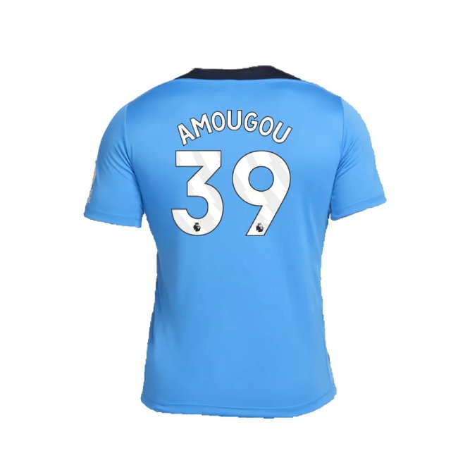 2024-2025 Chelsea Strike Dri-FIT Knit Shirt (Light Photo Blue) (Amougou 39) — Buy Online
