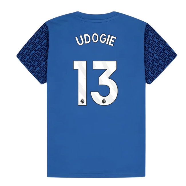 Tottenham Hotspur Graphic T-shirt (Blue) - Kids (Udogie 13) — Buy Now