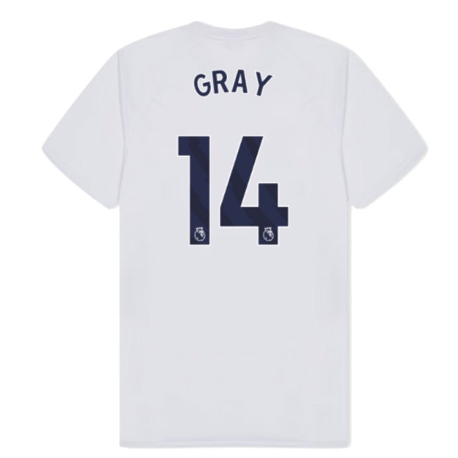 Tottenham Hotspur Poly T-shirt (White) (Gray 14) — Shop Online