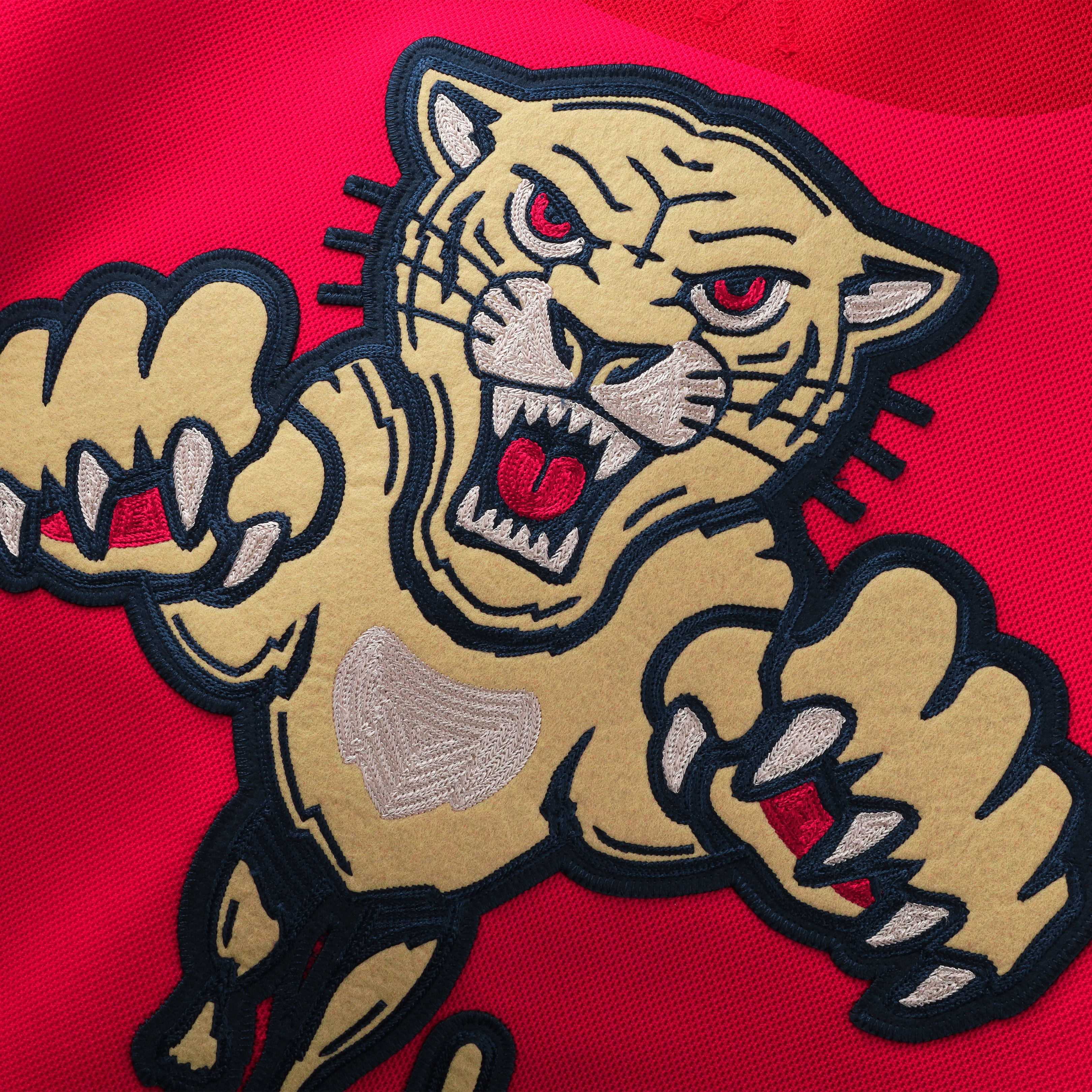 Florida Panthers 2026 NHL Winter Classic Premium Jersey - Red