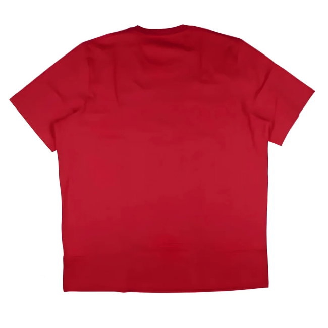 2024-2025 Bayern Munich DNA Graphic Tee (Red) (Bryan 17) — Shop Online