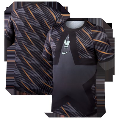 France National Team Nike Men's 2026 Goalkeeper Stadium Replica Jersey - Gray