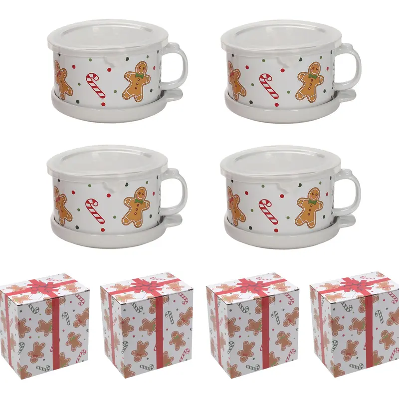 Last Day 90%OFF - Set of (4) 25-oz Mug Meals w/ Lid-its & Gift Boxes