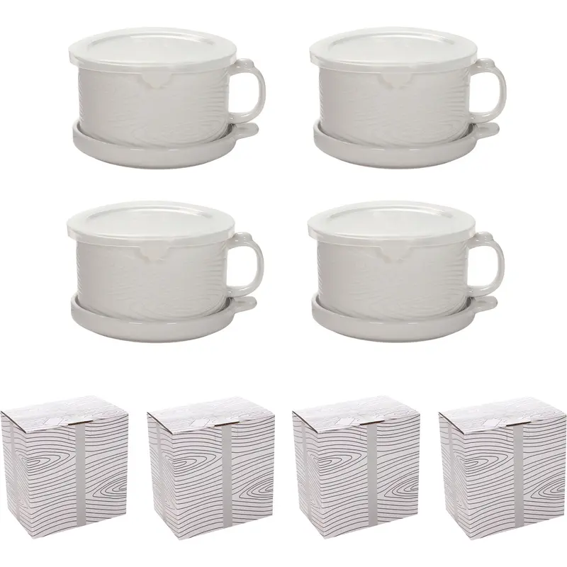 Last Day 90%OFF - Set of (4) 25-oz Mug Meals w/ Lid-its & Gift Boxes