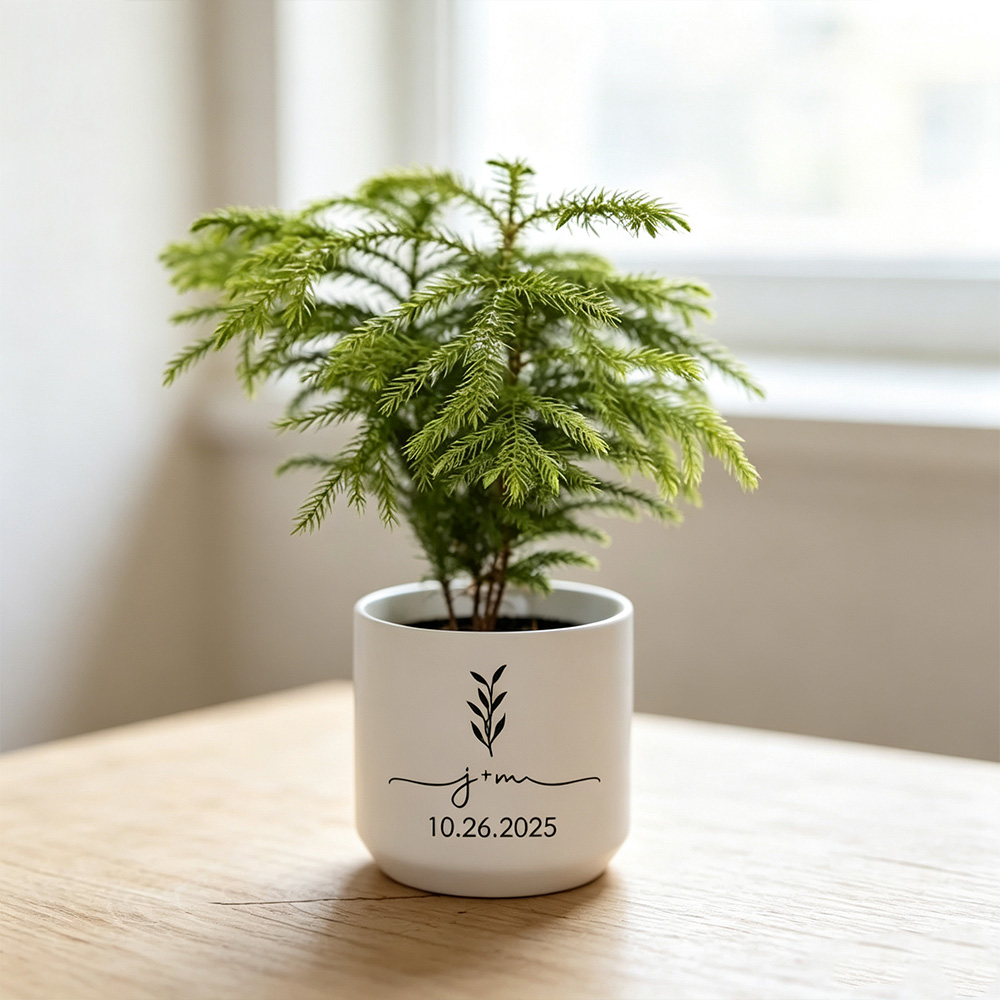 Personalized Ceramic Planter – Custom Couple Wedding Gift, Anniversary Gift & Housewarming Decor