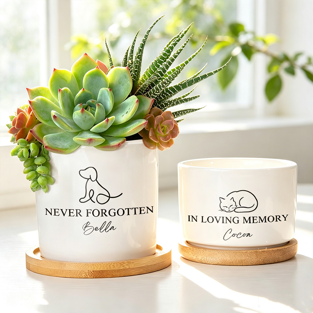 Personalized Pet Memorial Ceramic Planter Pot with Name and Paw Print Design, Succulent Flower Pot with Bamboo Base, Sympathy Gift for Dog Cat Lovers