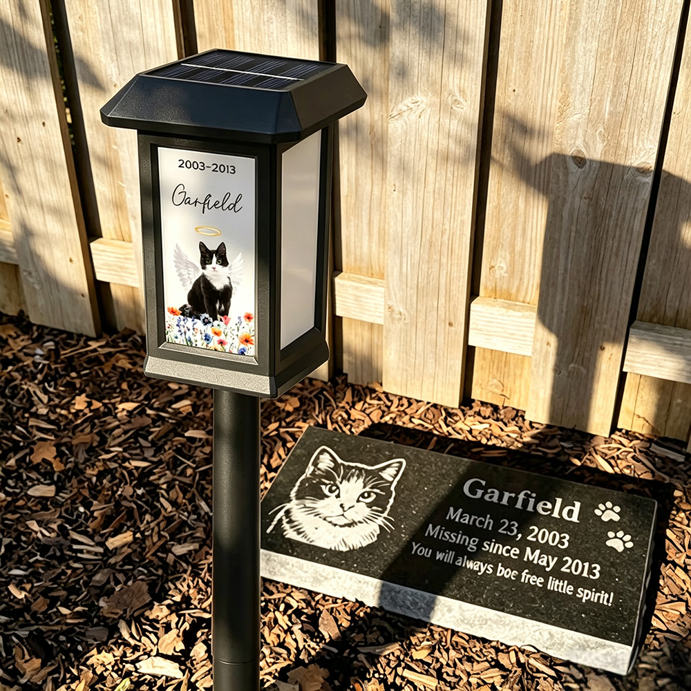 Personalized Pet Memorial Solar Garden Light with Photo, Name & Date, Rainbow Angel Wing Outdoor Garden Decor, Sympathy Gift for Pet Loss