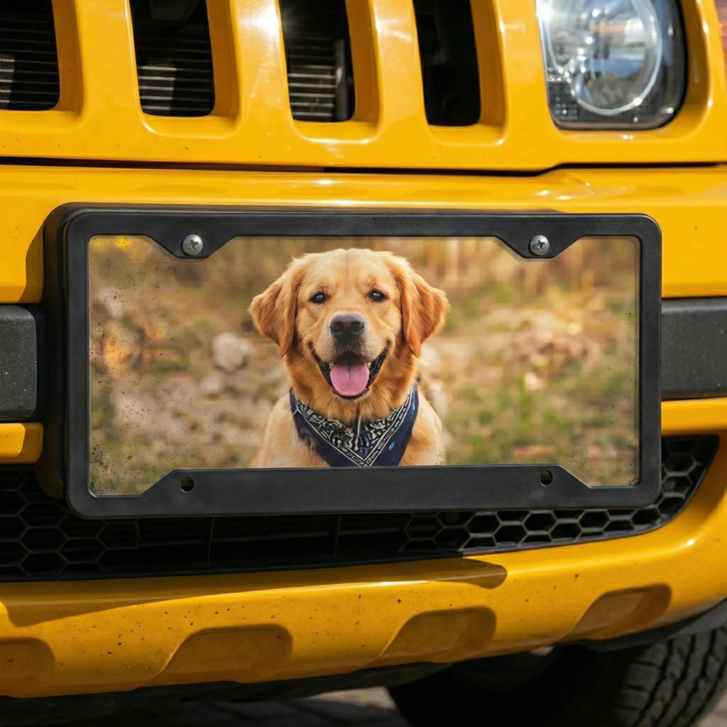 Custom Photo License Plate – Personalized Picture & Text Vanity Plate for Cars, Trucks & Motorcycles | Unique Gift with Your Photo or Logo