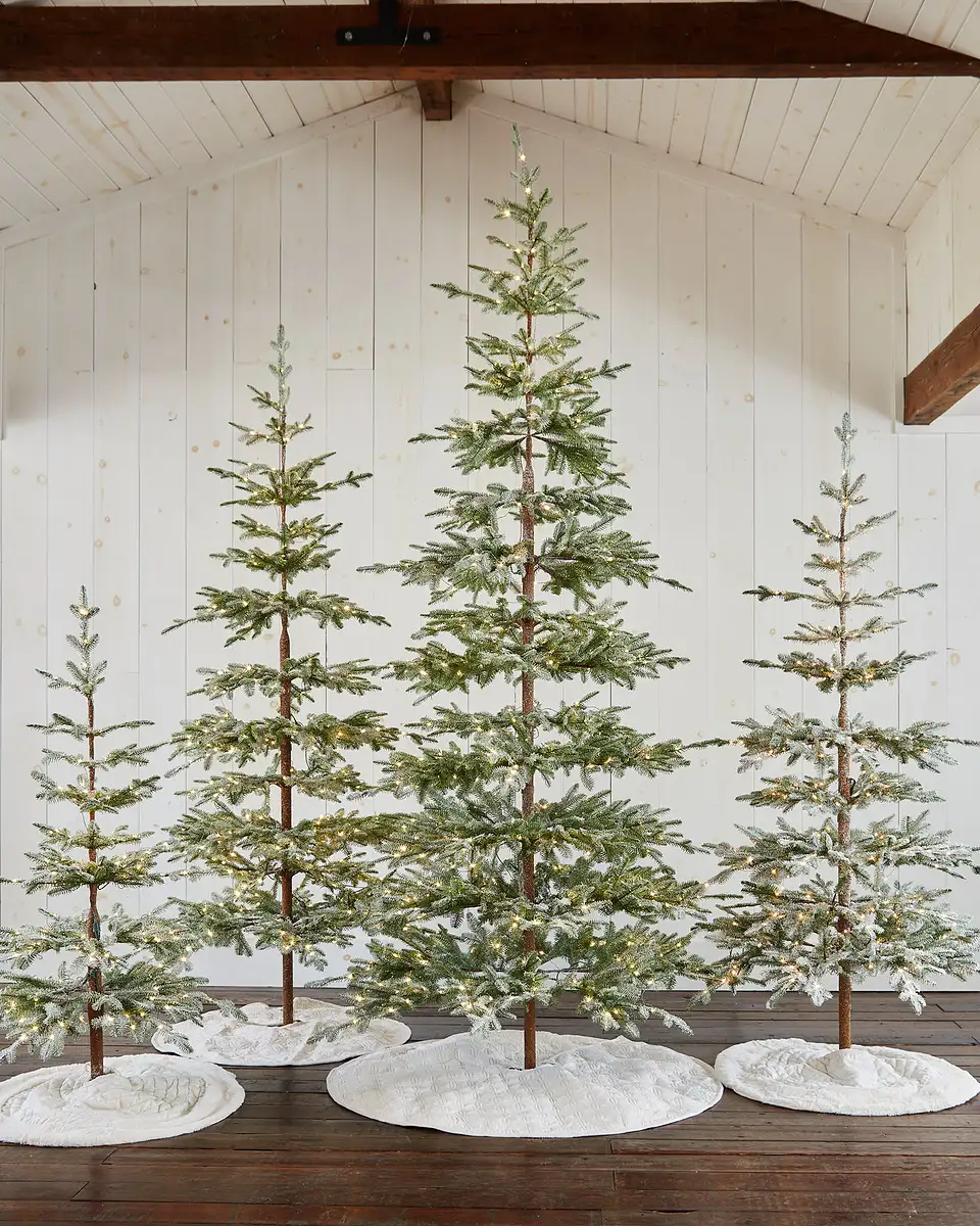 Frosted Alpine Balsam Fir® Christmas Tree