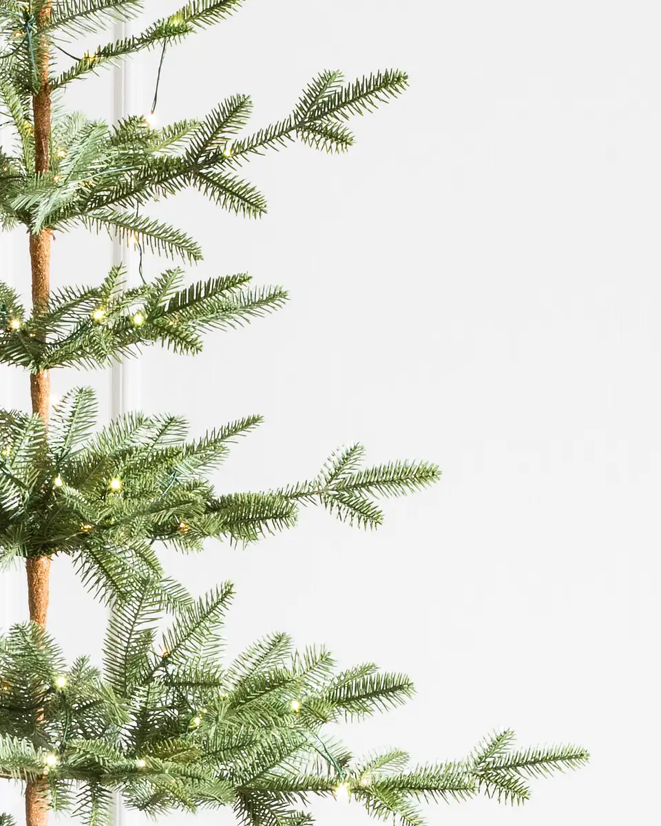 Alpine Balsam Fir® Christmas Tree