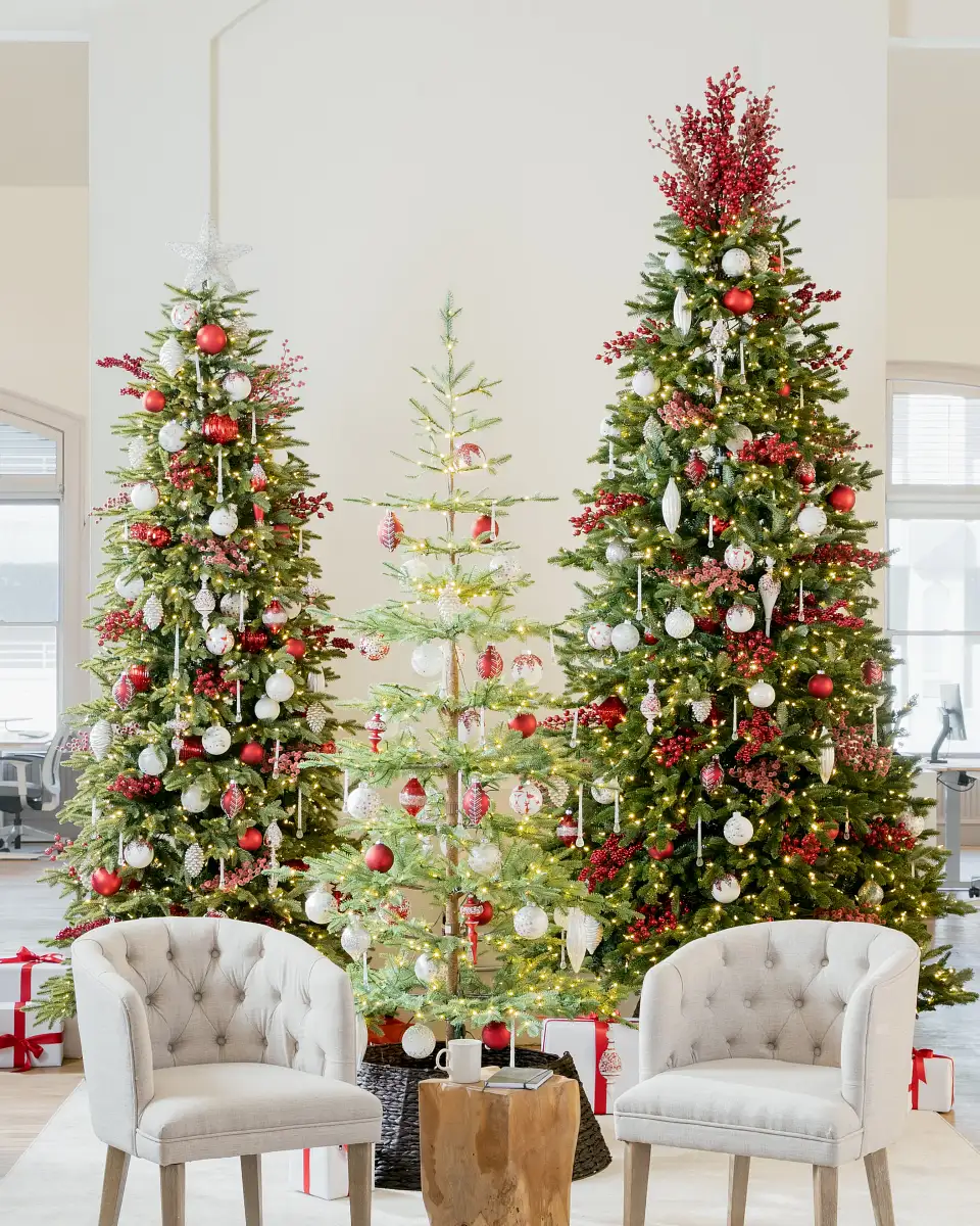 Alpine Balsam Fir® Christmas Tree