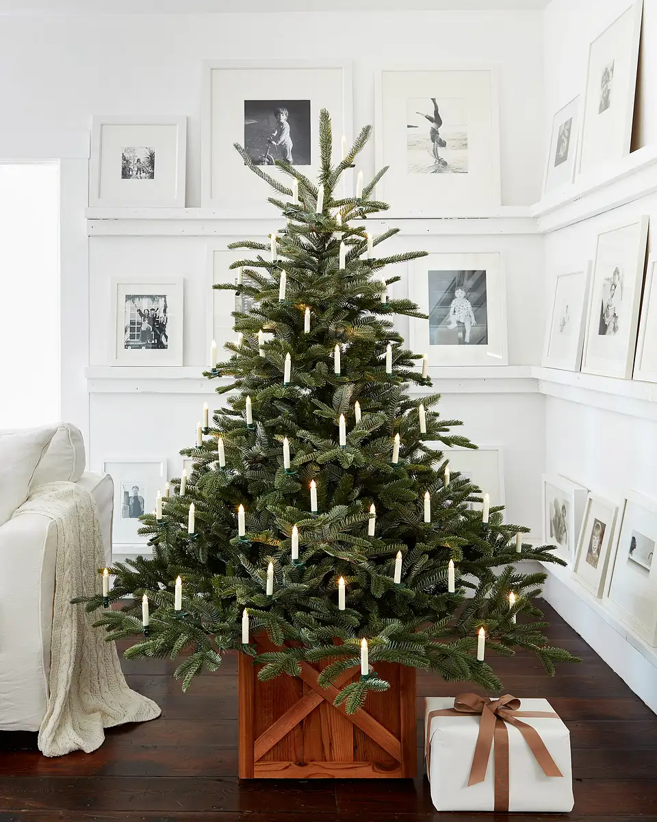 European Fir® Christmas Tree