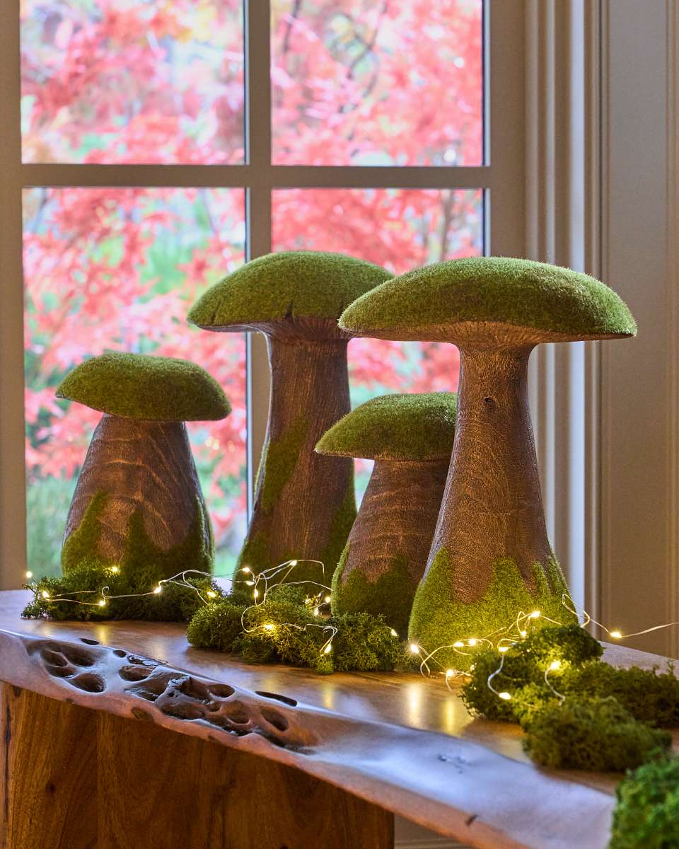Mossy Woodland Mushrooms