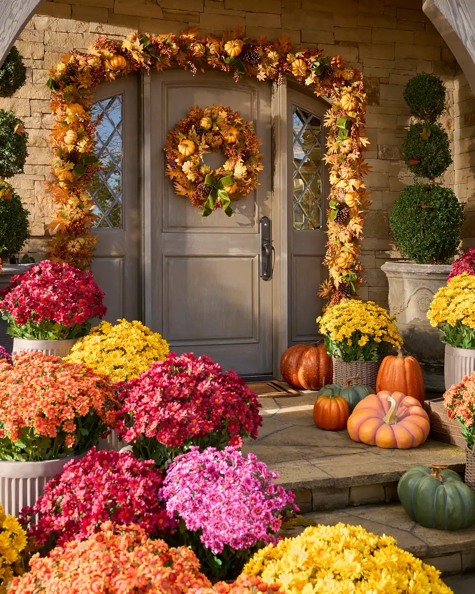 Sunset Mums Foliage