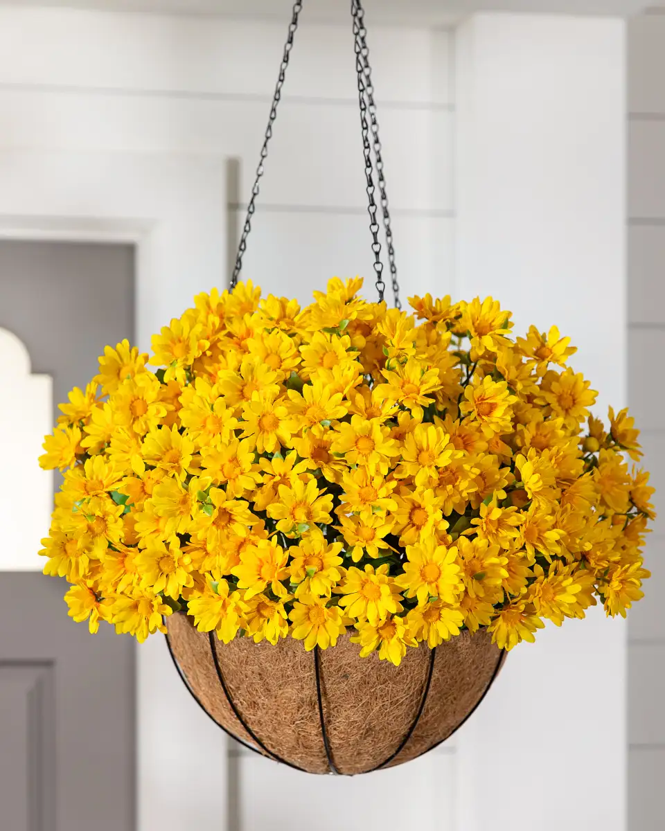 Sunset Mums Foliage
