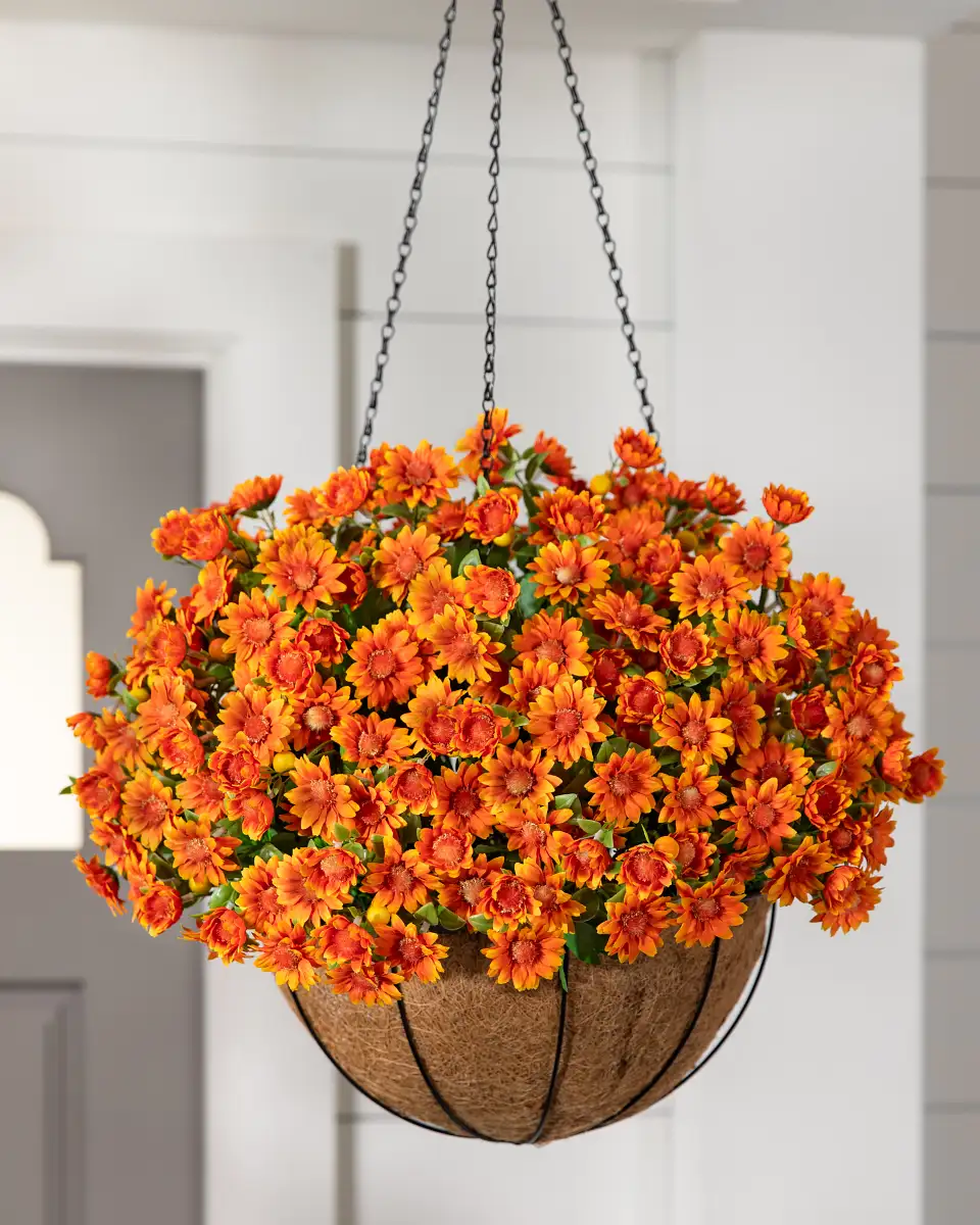 Sunset Mums Foliage