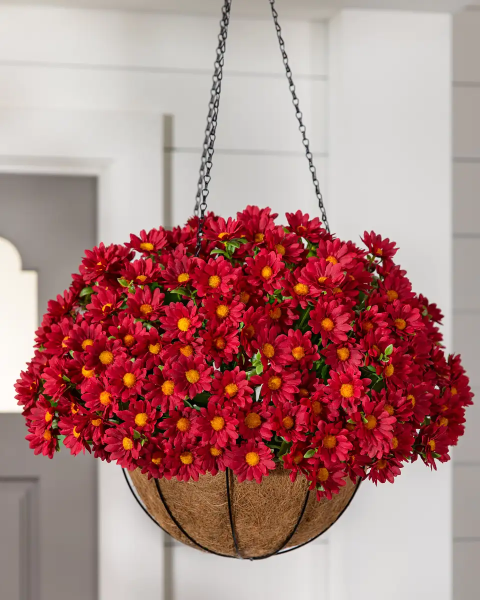 Sunset Mums Foliage