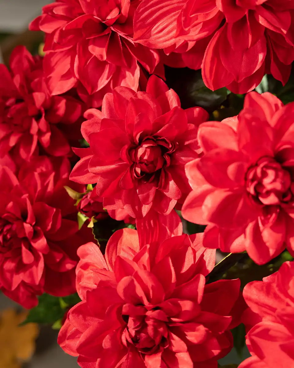 Vibrant Dahlias Foliage