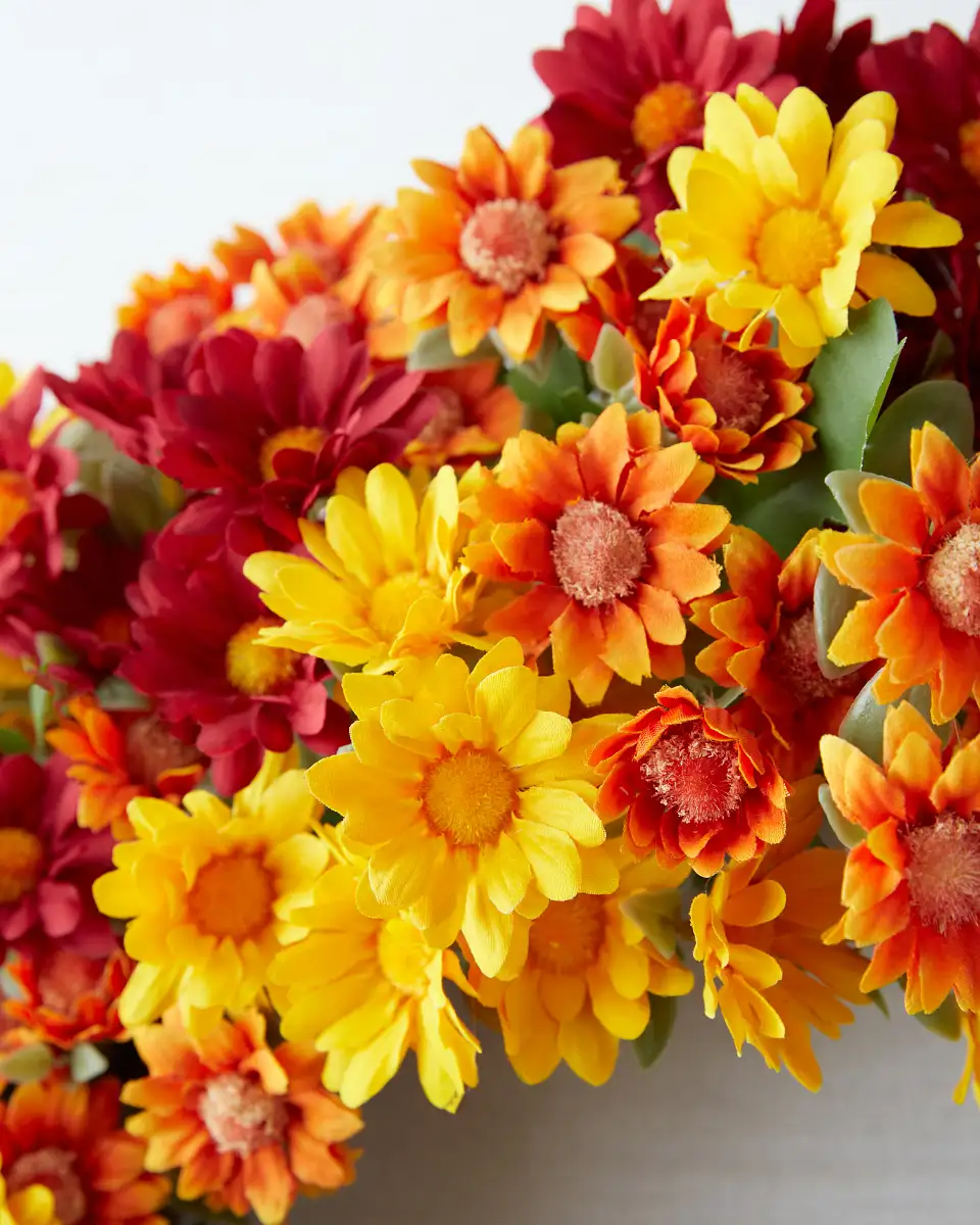 Sunset Mums Foliage