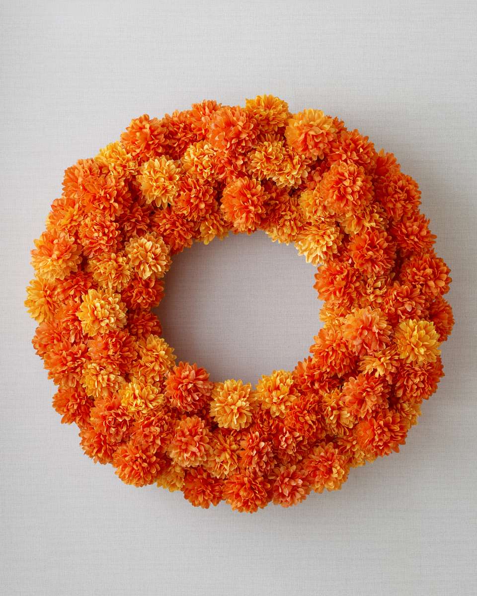 Outdoor Marigold Meadow Foliage