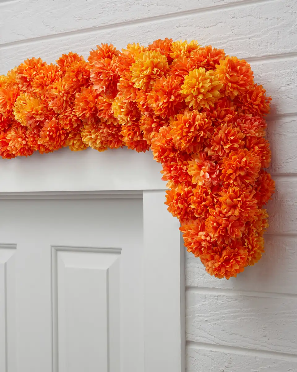 Outdoor Marigold Meadow Foliage