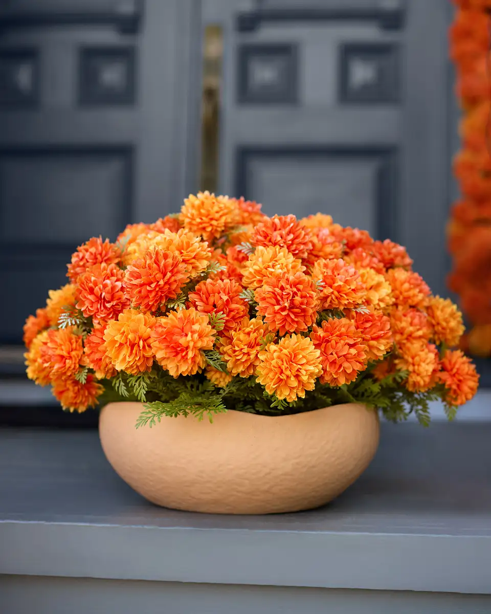 Outdoor Marigold Meadow Foliage
