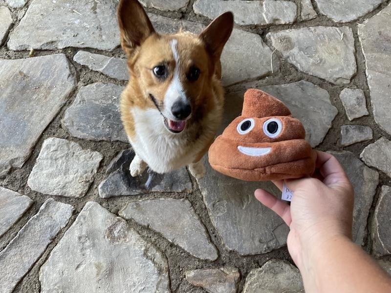 🎁Lowest price ever💥Funny Talking Poop Plush Toy – Makes Fart Sounds!