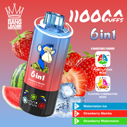 BANG LEGEND 110000 Puffs 6 in1 Flavor Disposable Vape