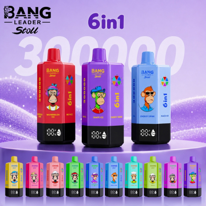 BANG LEGEND 300000 Puffs 6 in1 Flavor Disposable Vape