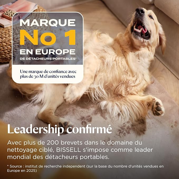 Nettoyeur Détacheur 3-en-1 – Vapeur, Lavage & Aspiration