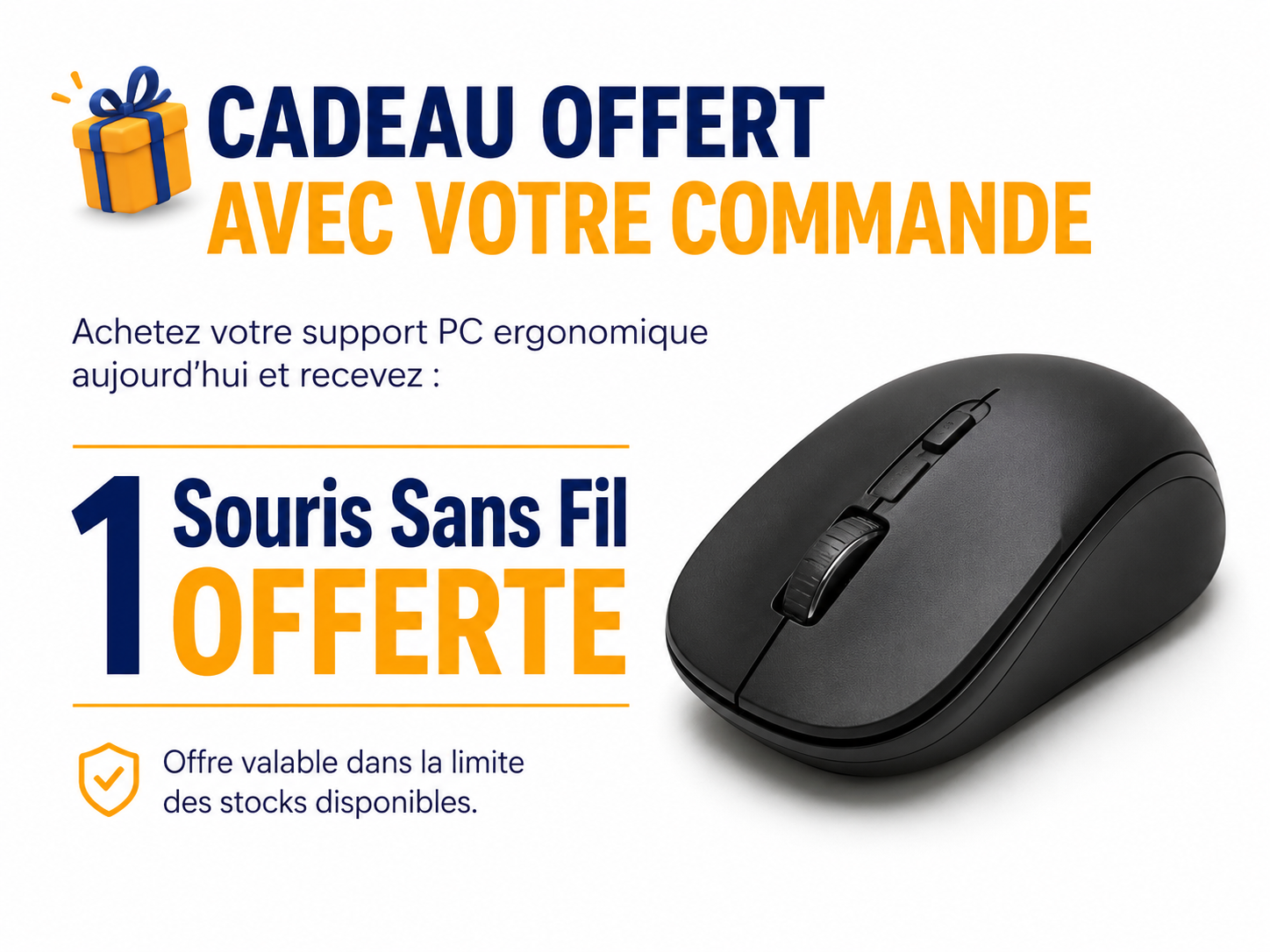 Souris Sans Fil Ergonomique – Cadeau OFFERT