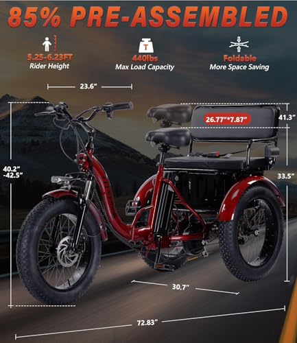 Adult Electric Tricycle Adult Tricycle 3 Wheel Bikes Adults Electric Three Wheel Bike - Radiant Selections
