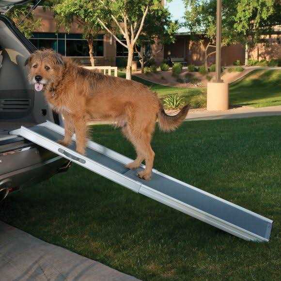 Top Paw Deluxe Telescoping Pet Ramp in Grey - Pet Supplies online store