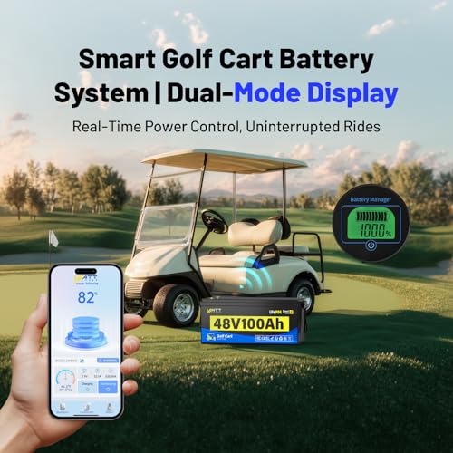 12V 314Ah Mini LiFePO4 Lithium Battery with Bluetooth 5.0, 200A BMS, 4.01kWh Energy, Upgraded Aluminum Cooling Fins & Braided Copper Wires, for RV