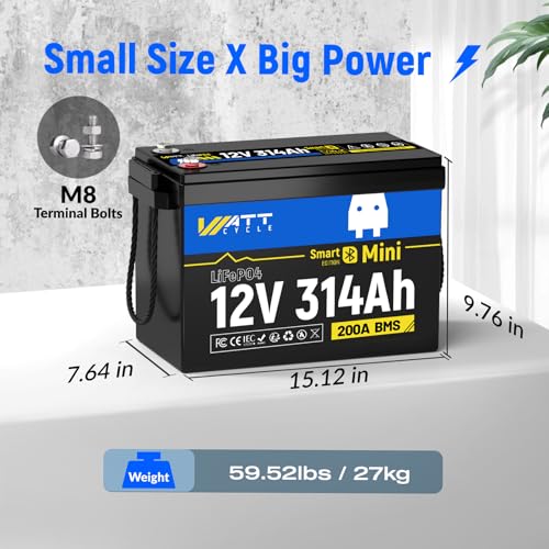 12V 314Ah Mini LiFePO4 Lithium Battery with Bluetooth 5.0, 200A BMS, 4.01kWh Energy, Upgraded Aluminum Cooling Fins & Braided Copper Wires, for RV