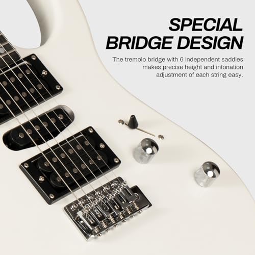 AODSK Electric Guitar with Amp Beginner Kit 39 Inch Solid Body Full Size,All Accessories,Digital Tuner,Six Strings,Four Picks,Tremolo Bar,Strap