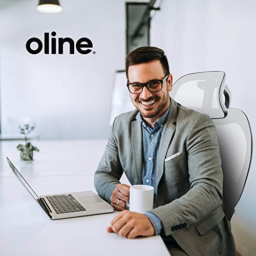 Oline ErgoPro Ergonomic Office Chair, Rolling Desk Chair with 4D Adjustable Armrest, 3D Lumbar Support, Blade Wheels