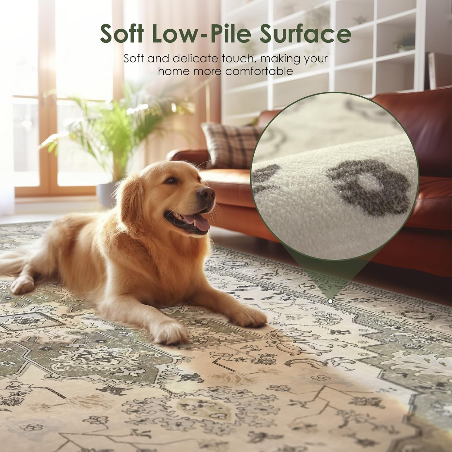 Large Area Rug for Living Room 9x12