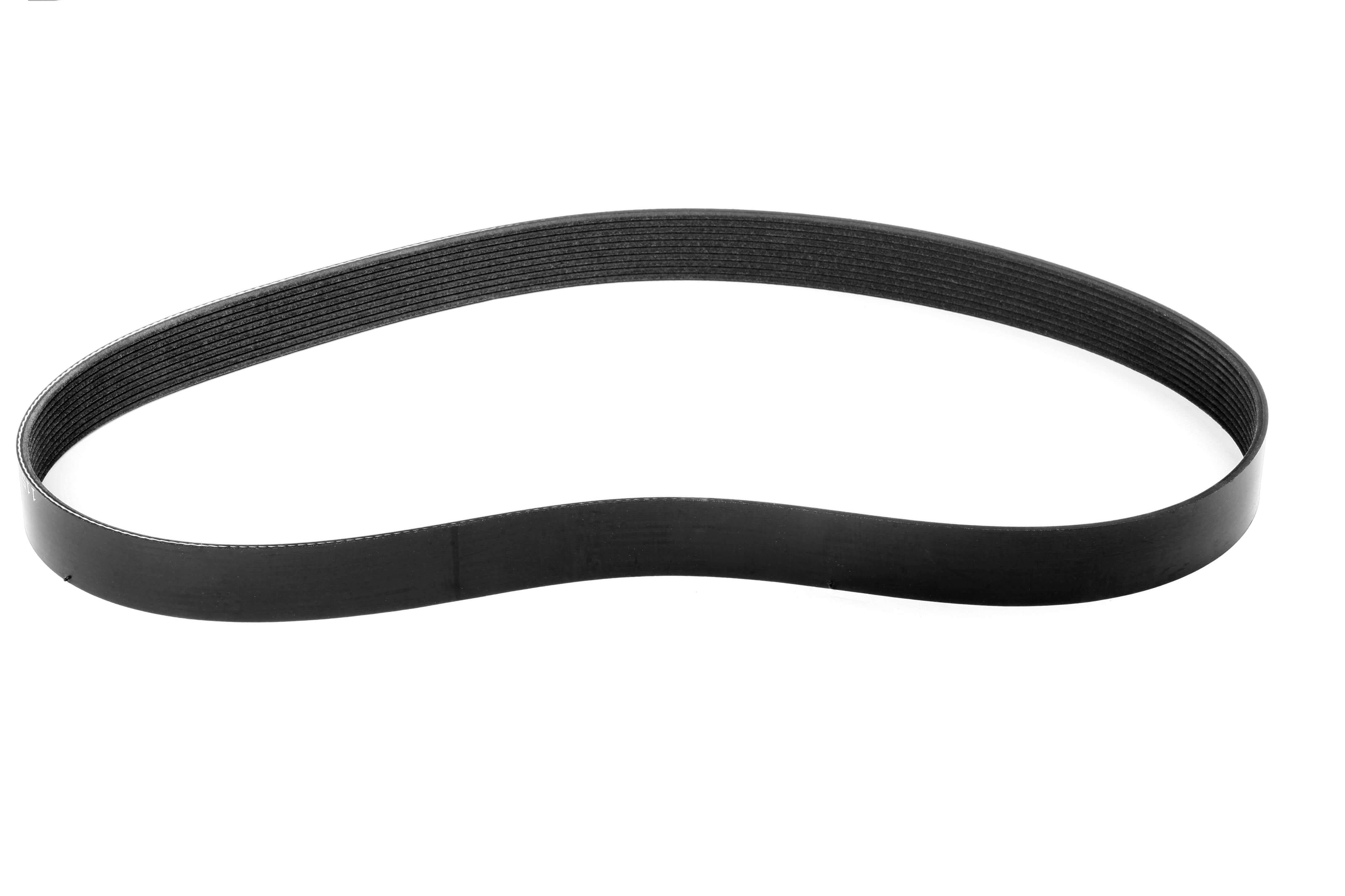 Weiand 91162 - Supercharger Belt