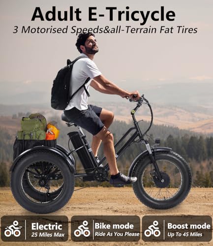 Adult Electric Tricycle Adult Tricycle 3 Wheel Bikes Adults Electric Three Wheel Bike - Radiant Selections
