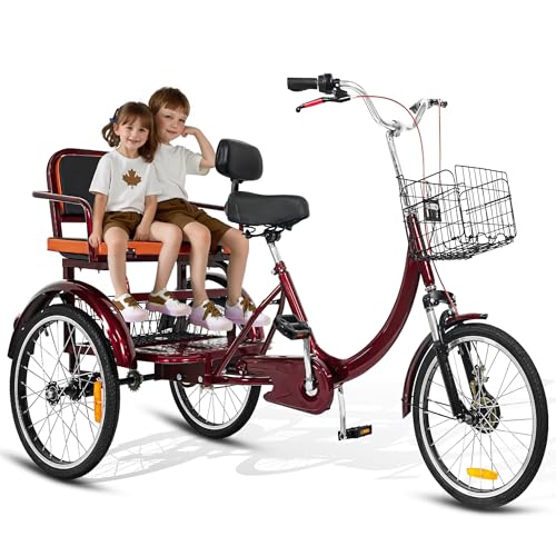MOOITZ Adult Tricycle, 20 Inch 3-Wheel Bikes, Trike for Adults with Seat, Low Step-Through Cruiser Bike with Front and Rear Baskets