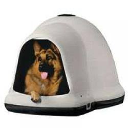 Dogloo II Dog House XL